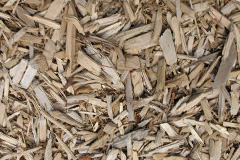 biomass boilers Astcote